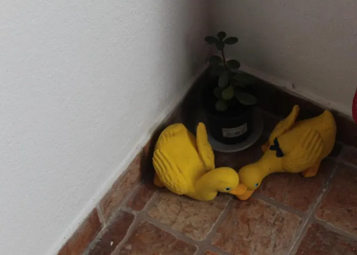 Apartamento Casa T1 *