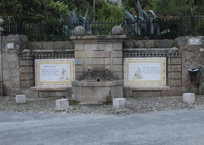 Apartamento Casa T1 Avô